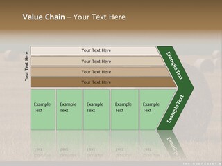 Sea Natural Romance PowerPoint Template