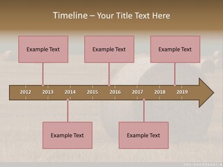 Sea Natural Romance PowerPoint Template