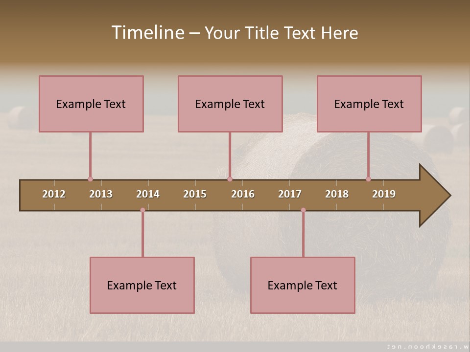 Sea Natural Romance PowerPoint Template