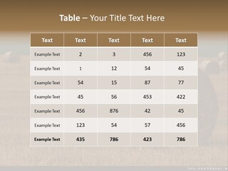 Sea Natural Romance PowerPoint Template