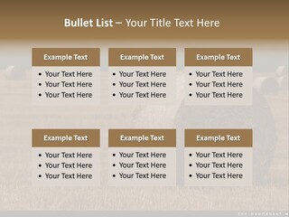 Sea Natural Romance PowerPoint Template