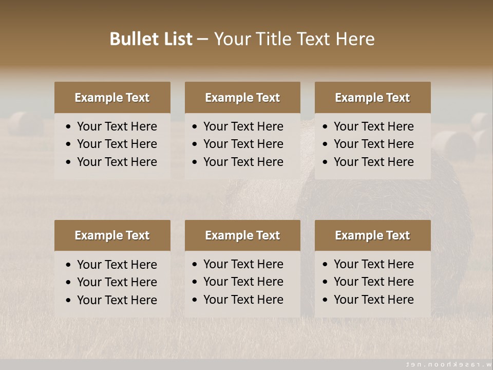 Sea Natural Romance PowerPoint Template