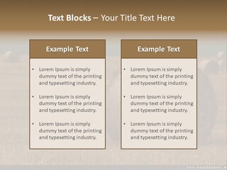 Sea Natural Romance PowerPoint Template