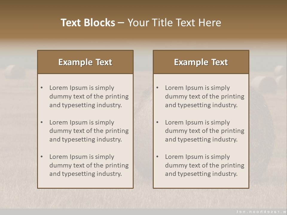 Sea Natural Romance PowerPoint Template