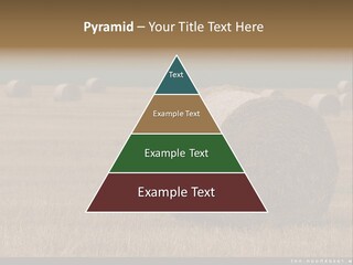 Sea Natural Romance PowerPoint Template