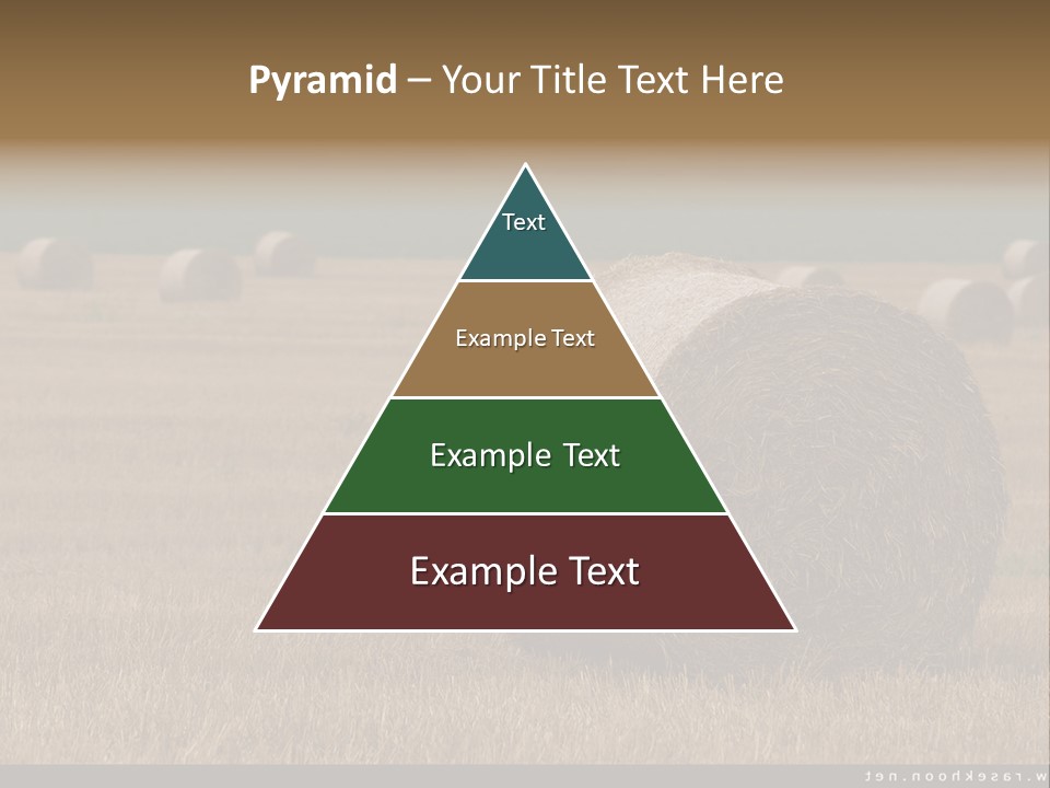 Sea Natural Romance PowerPoint Template