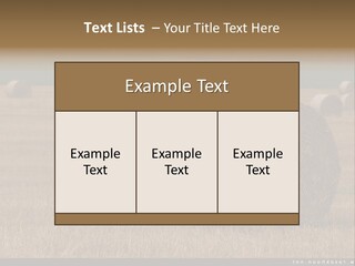Sea Natural Romance PowerPoint Template