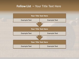 Sea Natural Romance PowerPoint Template