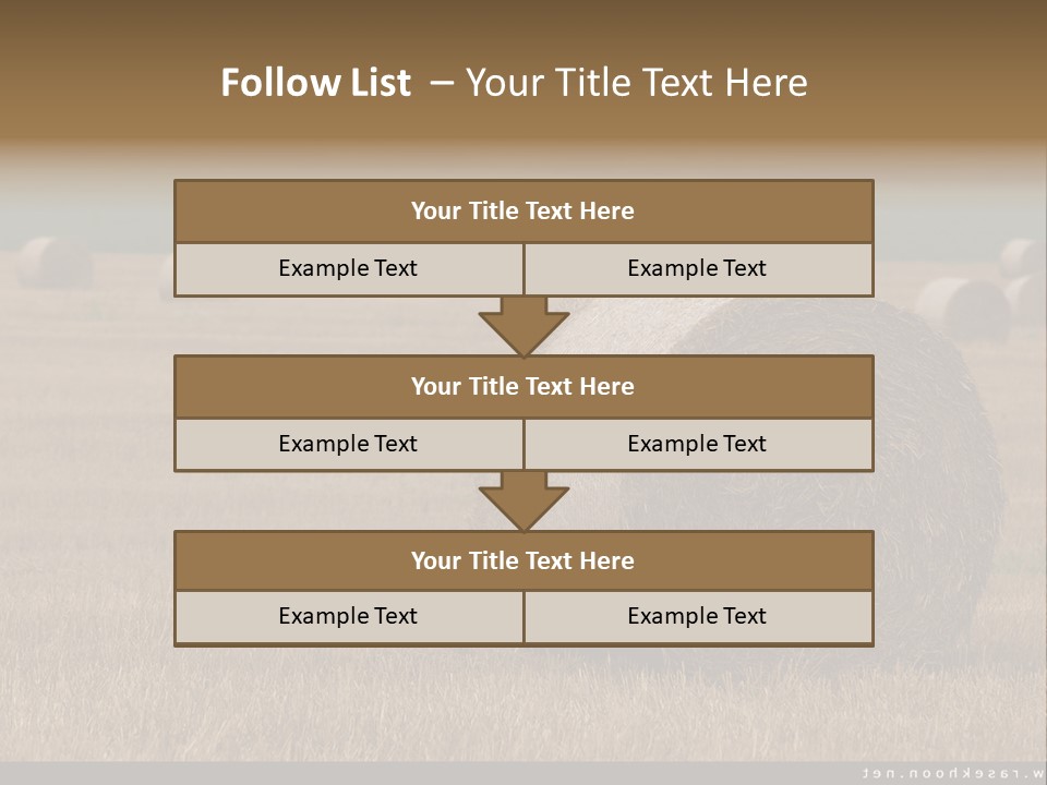 Sea Natural Romance PowerPoint Template