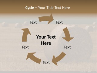 Sea Natural Romance PowerPoint Template