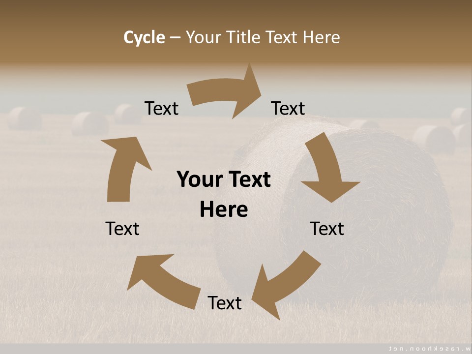 Sea Natural Romance PowerPoint Template