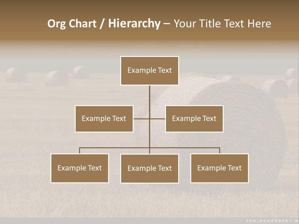 Sea Natural Romance PowerPoint Template