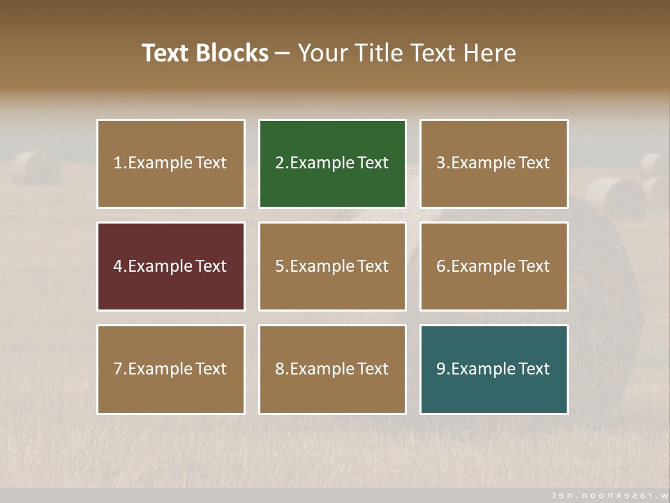 Sea Natural Romance PowerPoint Template