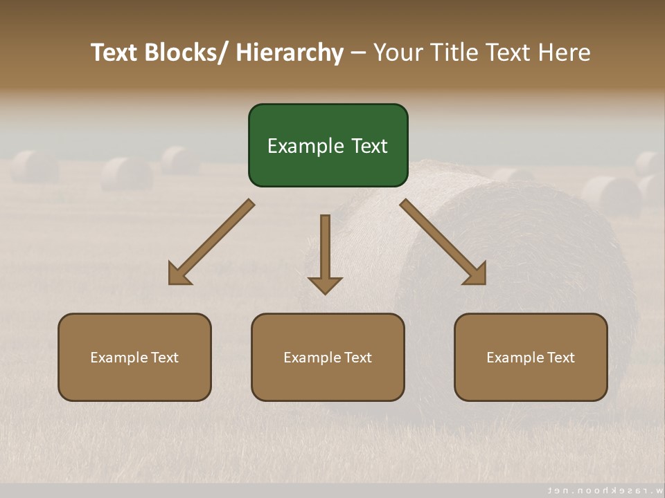 Sea Natural Romance PowerPoint Template