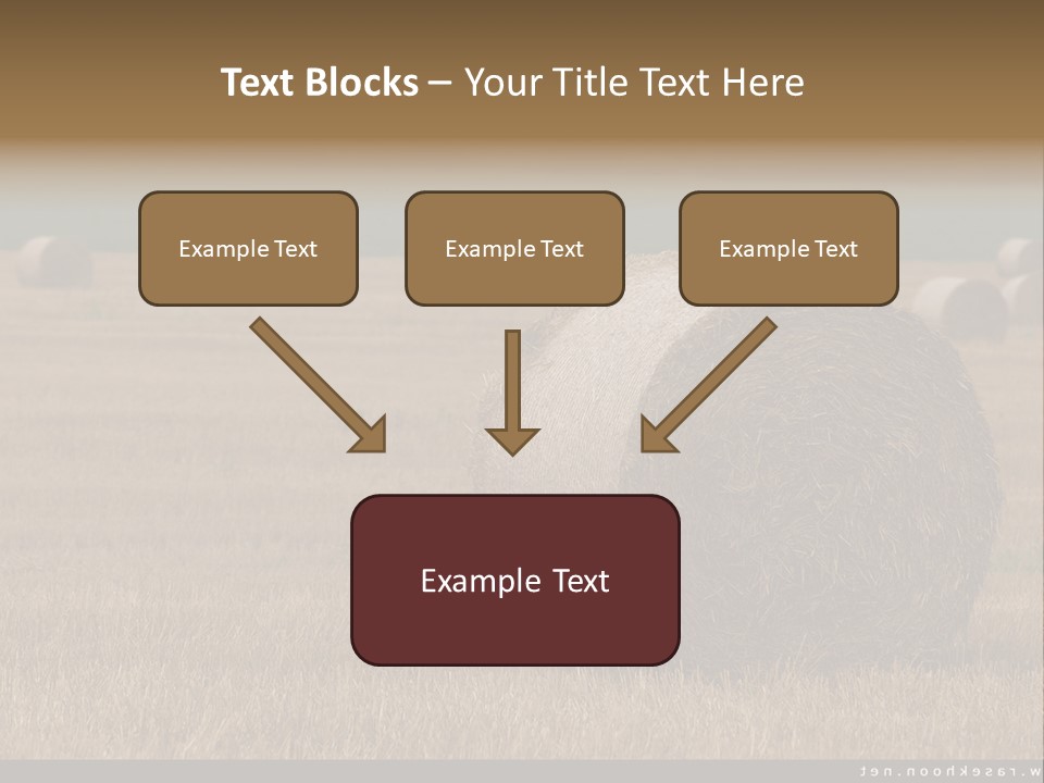 Sea Natural Romance PowerPoint Template