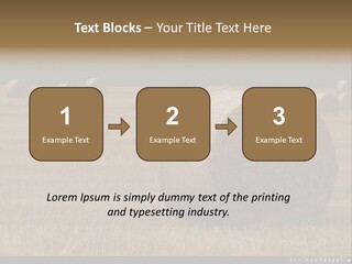 Sea Natural Romance PowerPoint Template