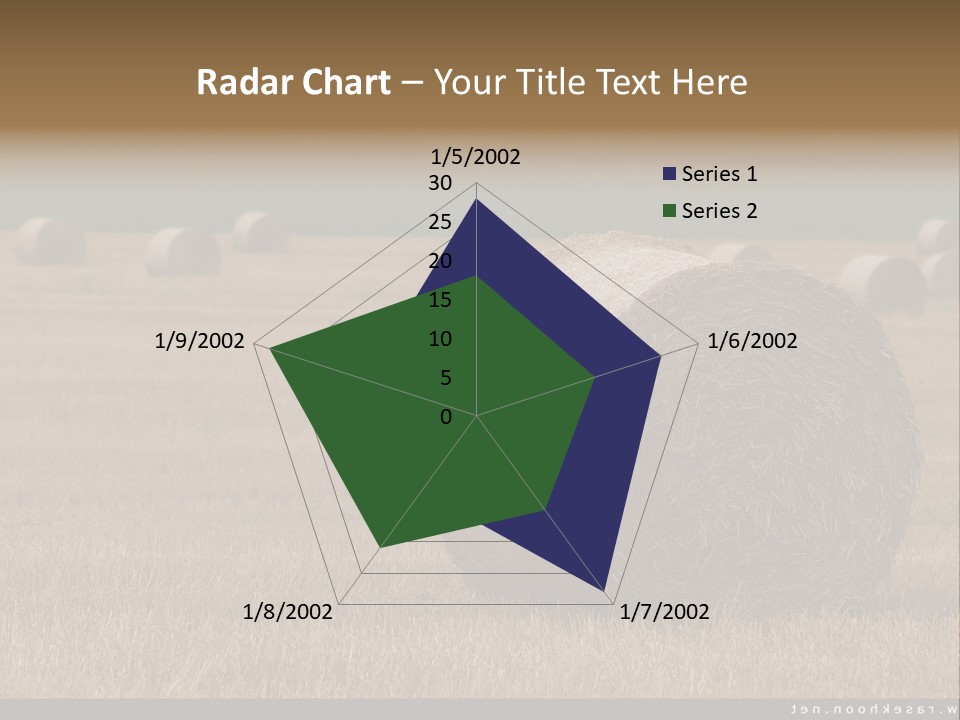 Sea Natural Romance PowerPoint Template