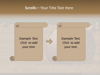 Sea Natural Romance PowerPoint Template