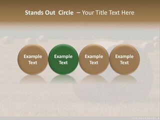 Sea Natural Romance PowerPoint Template