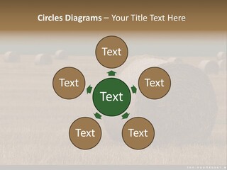 Sea Natural Romance PowerPoint Template