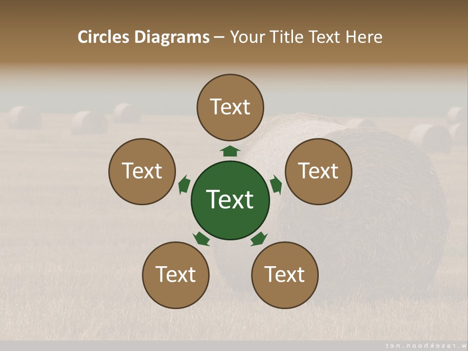 Sea Natural Romance PowerPoint Template