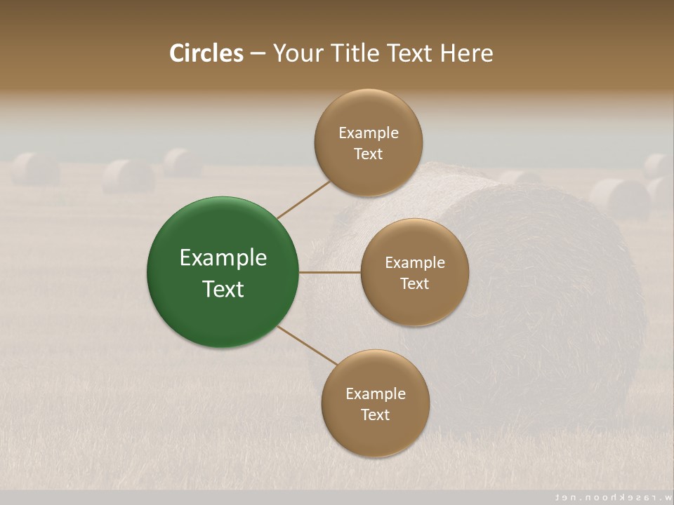 Sea Natural Romance PowerPoint Template