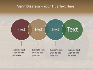 Sea Natural Romance PowerPoint Template