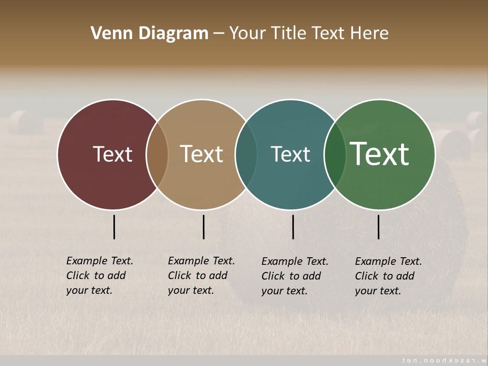 Sea Natural Romance PowerPoint Template