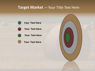 Sea Natural Romance PowerPoint Template