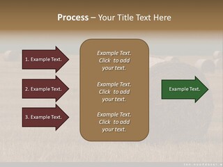 Sea Natural Romance PowerPoint Template