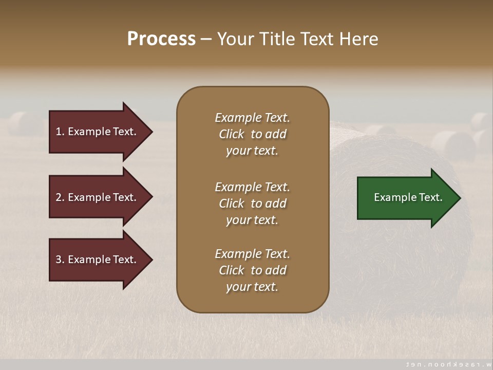 Sea Natural Romance PowerPoint Template