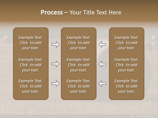 Sea Natural Romance PowerPoint Template