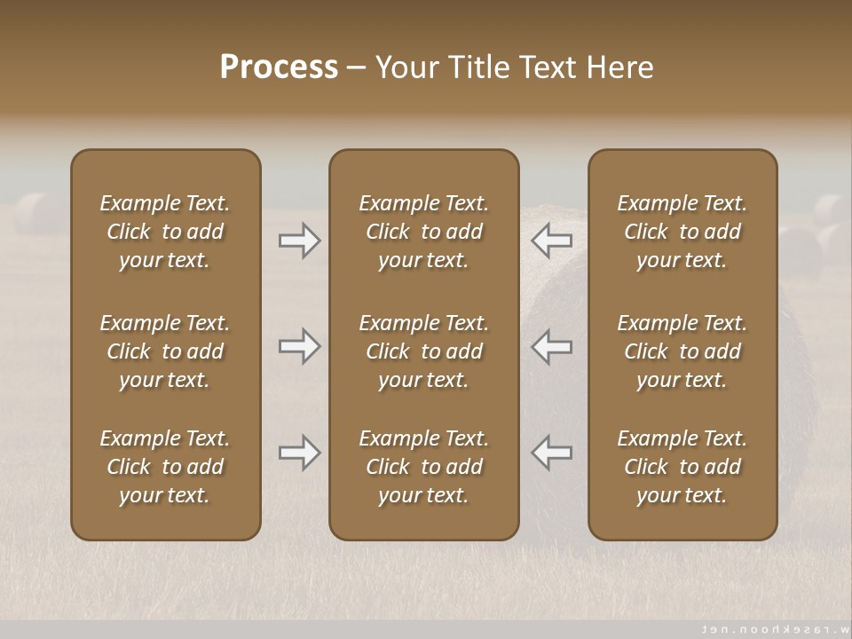 Sea Natural Romance PowerPoint Template