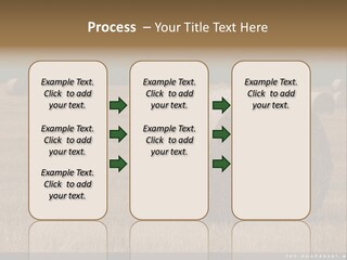 Sea Natural Romance PowerPoint Template