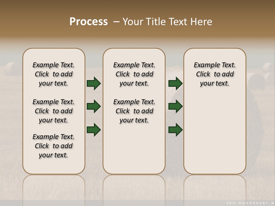 Sea Natural Romance PowerPoint Template