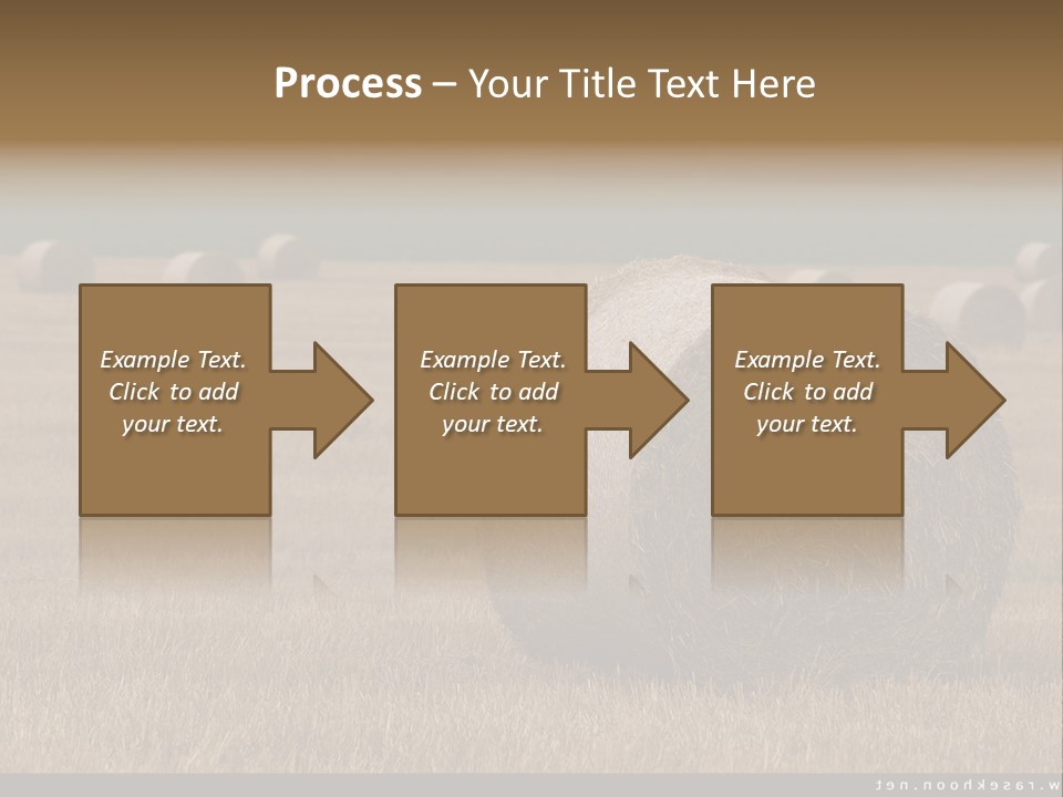 Sea Natural Romance PowerPoint Template