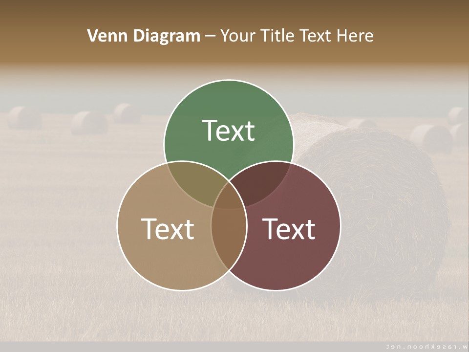 Sea Natural Romance PowerPoint Template