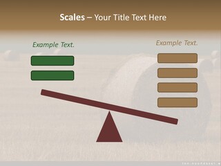 Sea Natural Romance PowerPoint Template