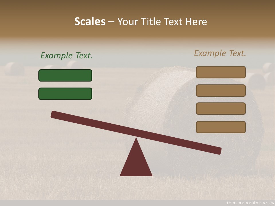 Sea Natural Romance PowerPoint Template