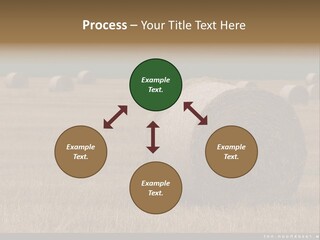 Sea Natural Romance PowerPoint Template