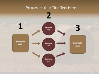 Sea Natural Romance PowerPoint Template