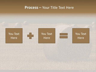 Sea Natural Romance PowerPoint Template