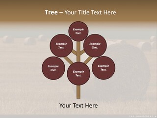 Sea Natural Romance PowerPoint Template