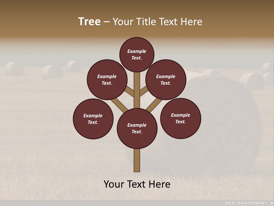 Sea Natural Romance PowerPoint Template