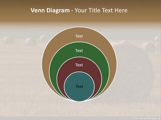 Sea Natural Romance PowerPoint Template