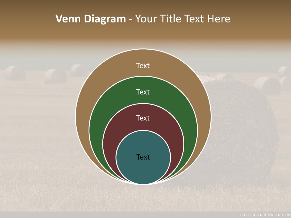 Sea Natural Romance PowerPoint Template