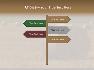 Sea Natural Romance PowerPoint Template