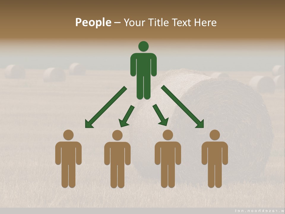 Sea Natural Romance PowerPoint Template