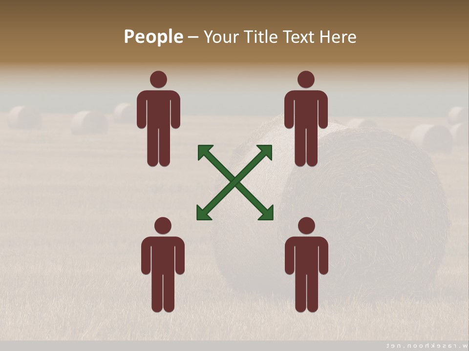 Sea Natural Romance PowerPoint Template