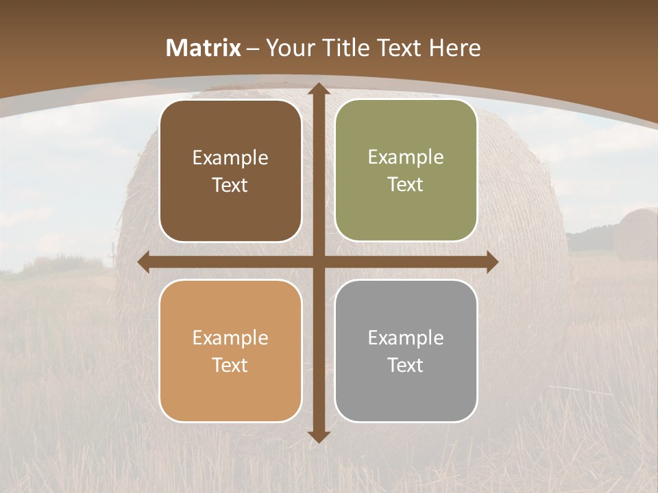 Space Fly Sunny PowerPoint Template